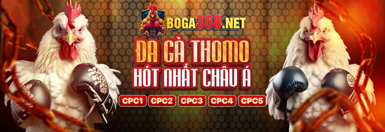 C88 Thể Thao - Đặt cược bóng đá trực tuyến hàng đầu